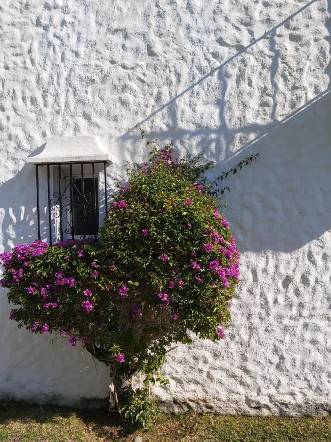 Benamara Gardens, Apartment With Pool, 100M From Beach Near Marbella & Estepona Bagian luar foto
